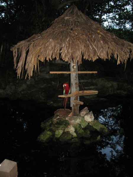 Dominican Republic 139.jpg